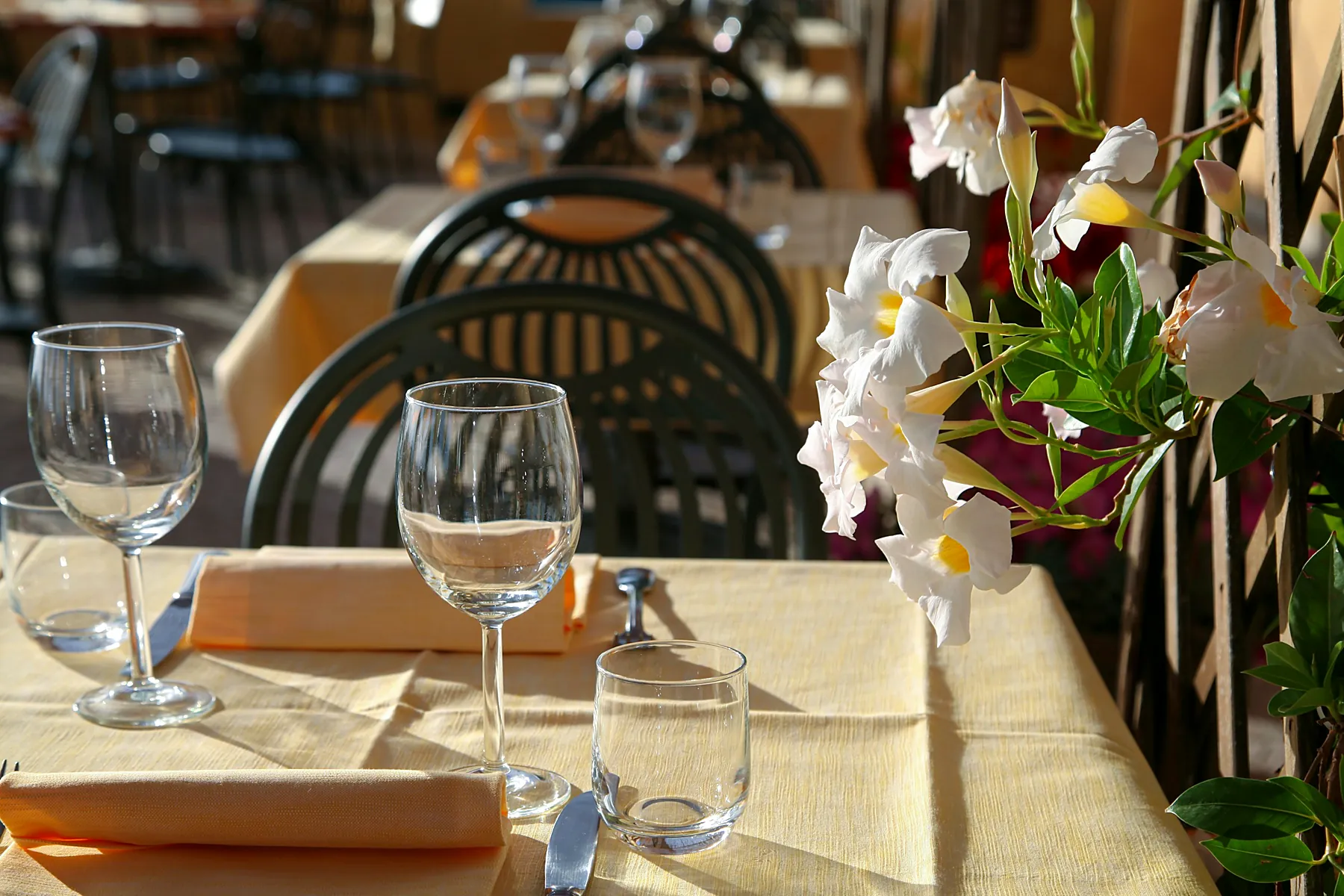 Tavola apparecchiata per il pranzo