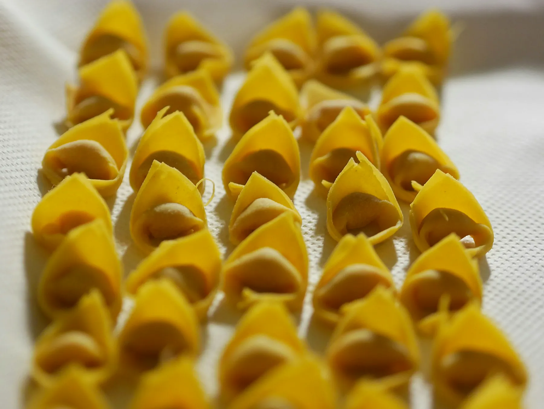Tortellini, chiusi a mano